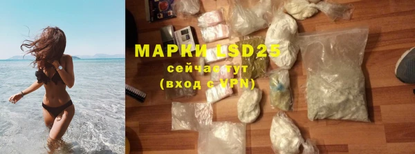 прущие грибы Богданович