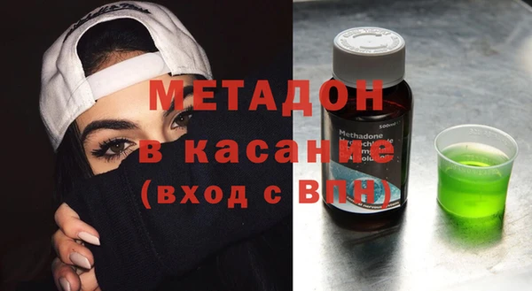 прущие грибы Богданович
