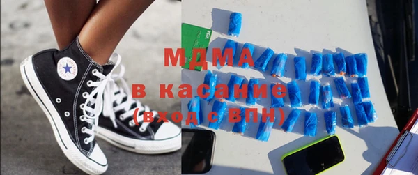гидра Богородицк