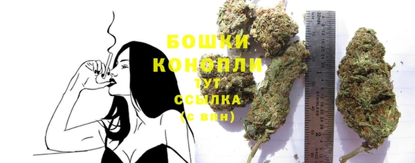 гидра Богородицк