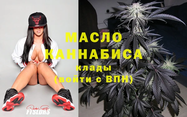 гидра Богородицк