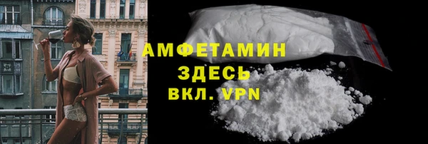 гидра Богородицк