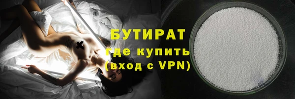 гидра Богородицк