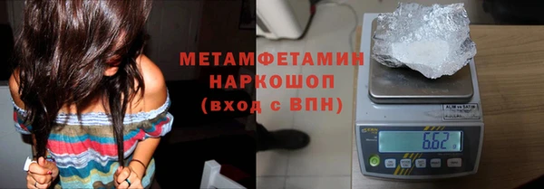 прущие грибы Богданович