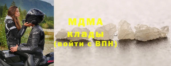 прущие грибы Богданович