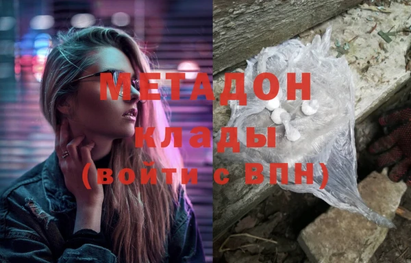 прущие грибы Богданович