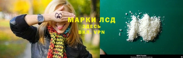прущие грибы Богданович