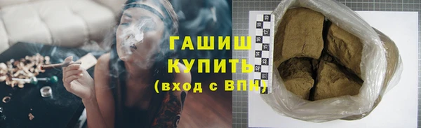гидра Богородицк