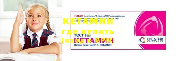 гидра Богородицк