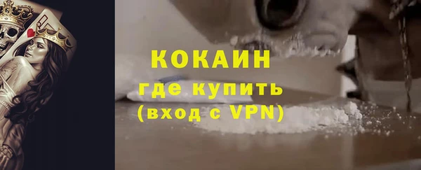 гидра Богородицк
