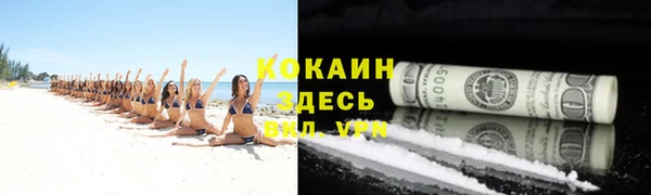 гидра Богородицк