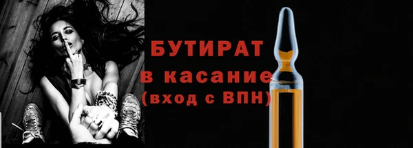 прущие грибы Богданович
