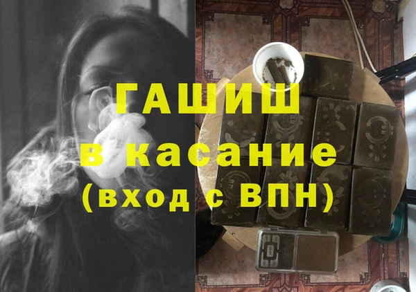 гидра Богородицк
