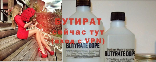 прущие грибы Богданович