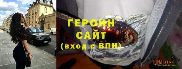 гидра Богородицк
