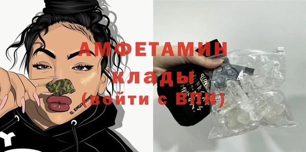 прущие грибы Богданович