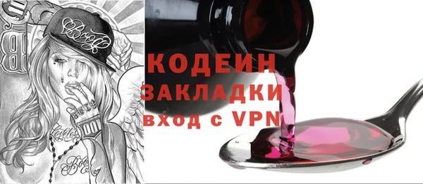 хмурый Сосновый Бор